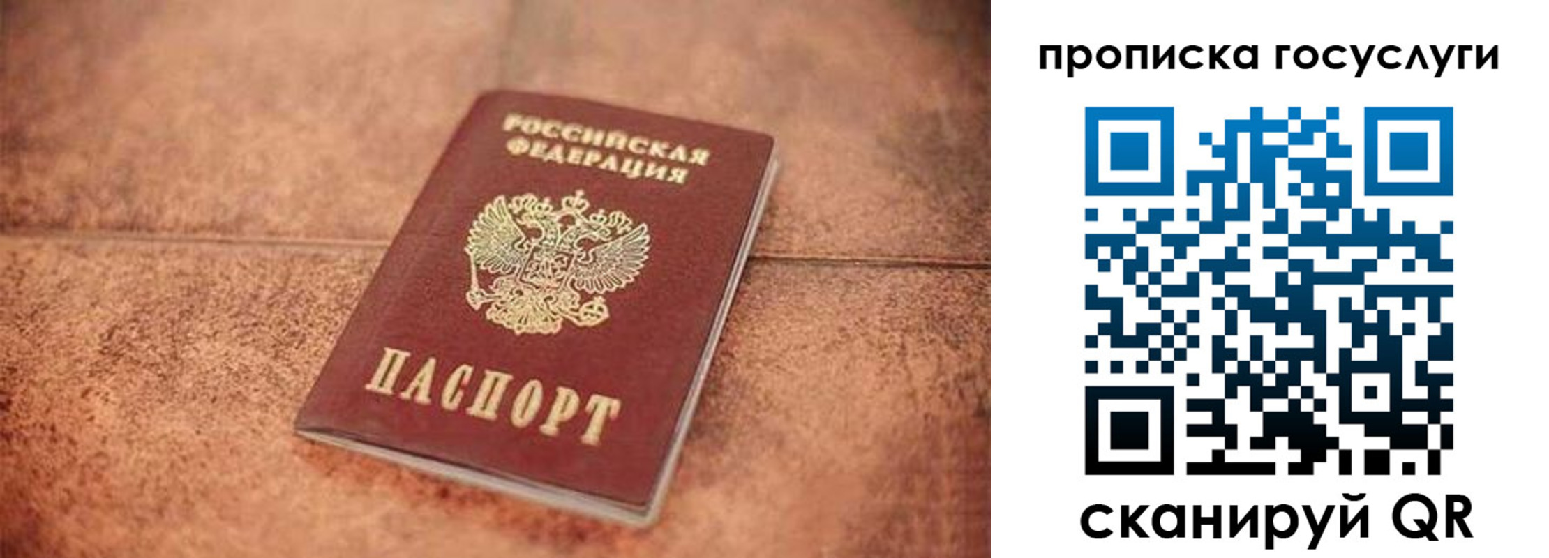 прописка законно в ЕАО